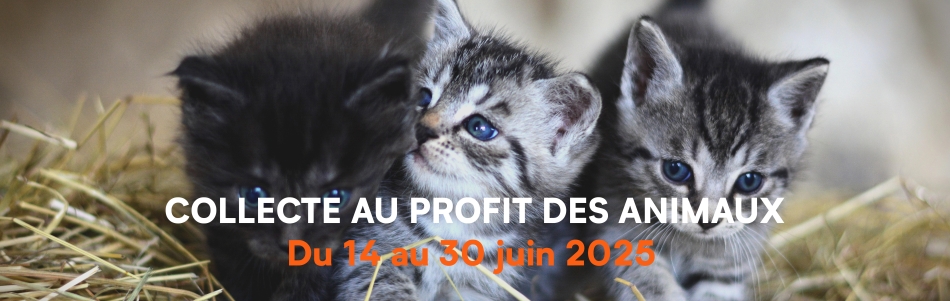 Collecte au profit des animaux, du 14 au 30 juin 2025