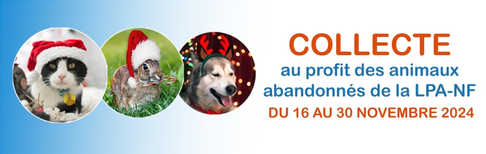 Collecte au profit des animaux abandonnés, du 16 au 30 novembre 2024