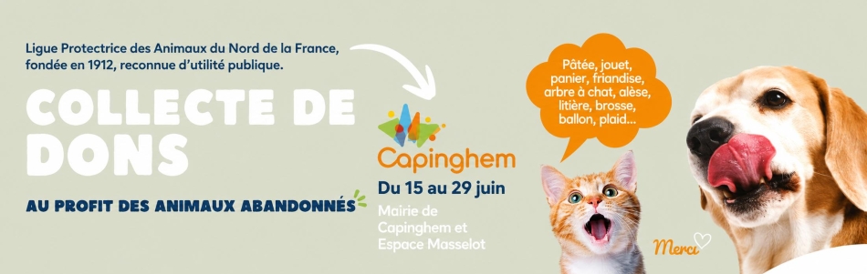 Collecte au profit des animaux abandonnés, du 15 au 29 juin 2026